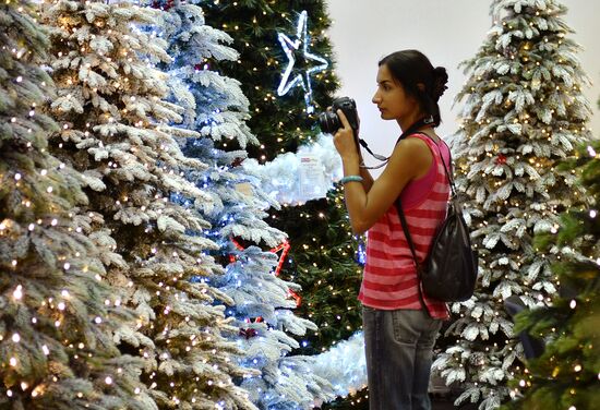"Christmas Time 2014. 100 Days to the New Year" exhibition