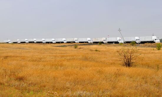 Second humanitarian aid convoy in Donetsk, Rostov Region