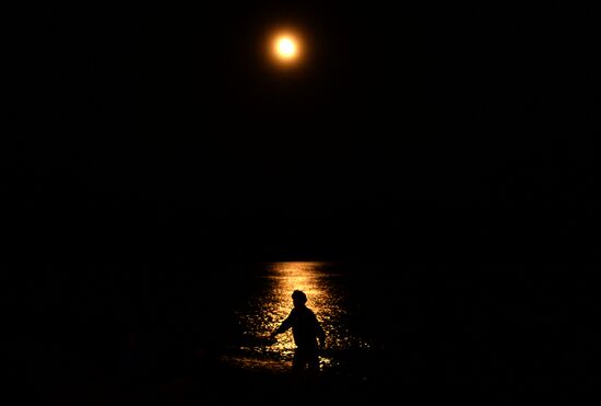 Koktebel Jazz Party festival opens