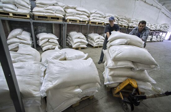 Russia's humanitarian aid convoy for southeastern Ukraine