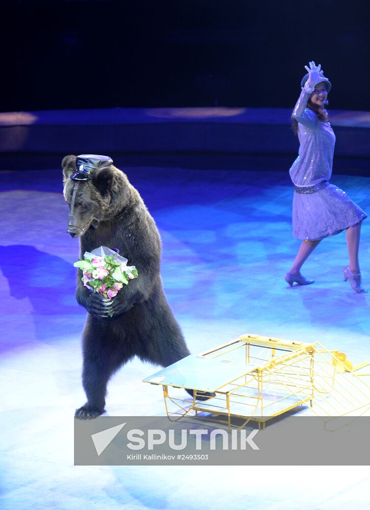 World Festival of Circus Art IDOL 2014. Gala show