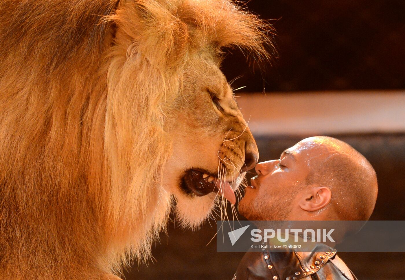 World Festival of Circus Art IDOL 2014. Gala show