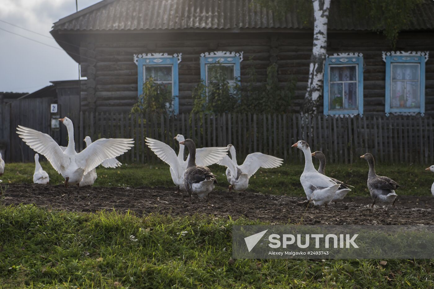 Village autumn