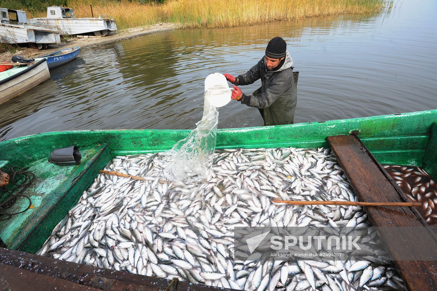 The Chelyabinsk fish-breeding farm