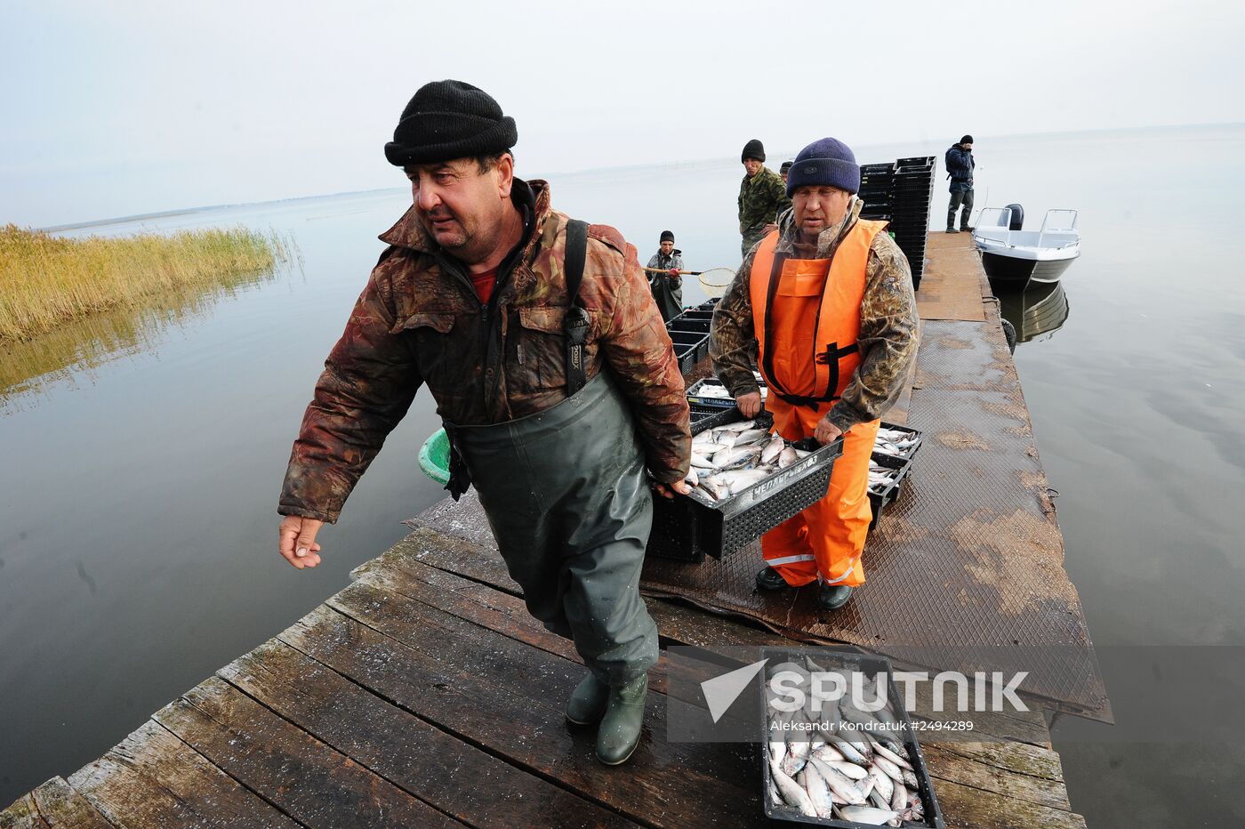 The Chelyabinsk fish-breeding farm