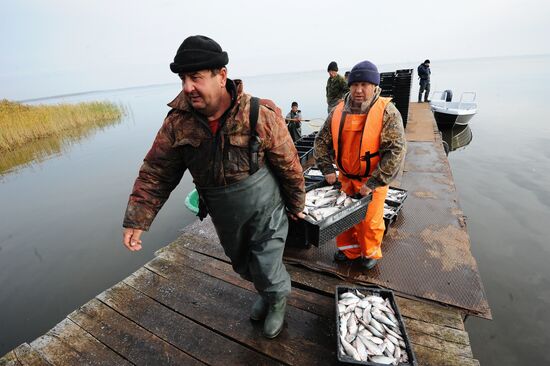 The Chelyabinsk fish-breeding farm