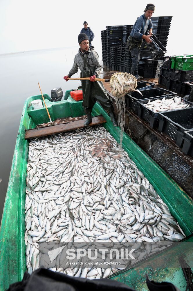 The Chelyabinsk fish-breeding farm