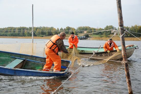 The Chelyabinsk fish-breeding farm
