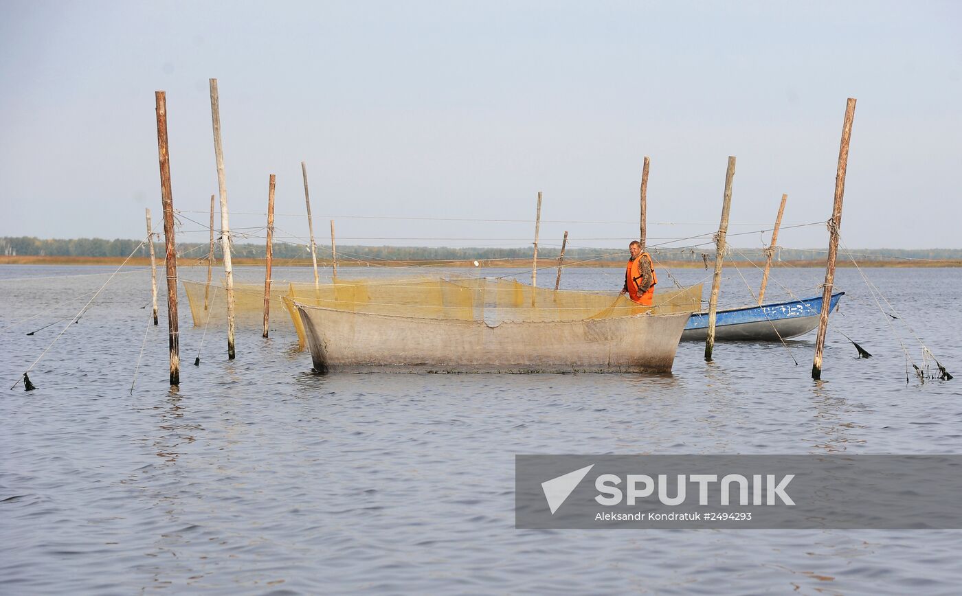 The Chelyabinsk fish-breeding farm