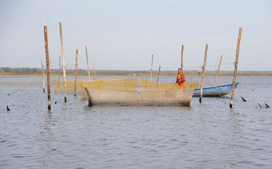 The Chelyabinsk fish-breeding farm