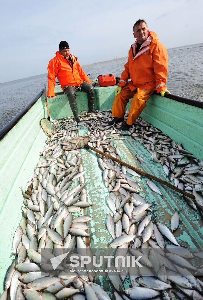 The Chelyabinsk fish-breeding farm