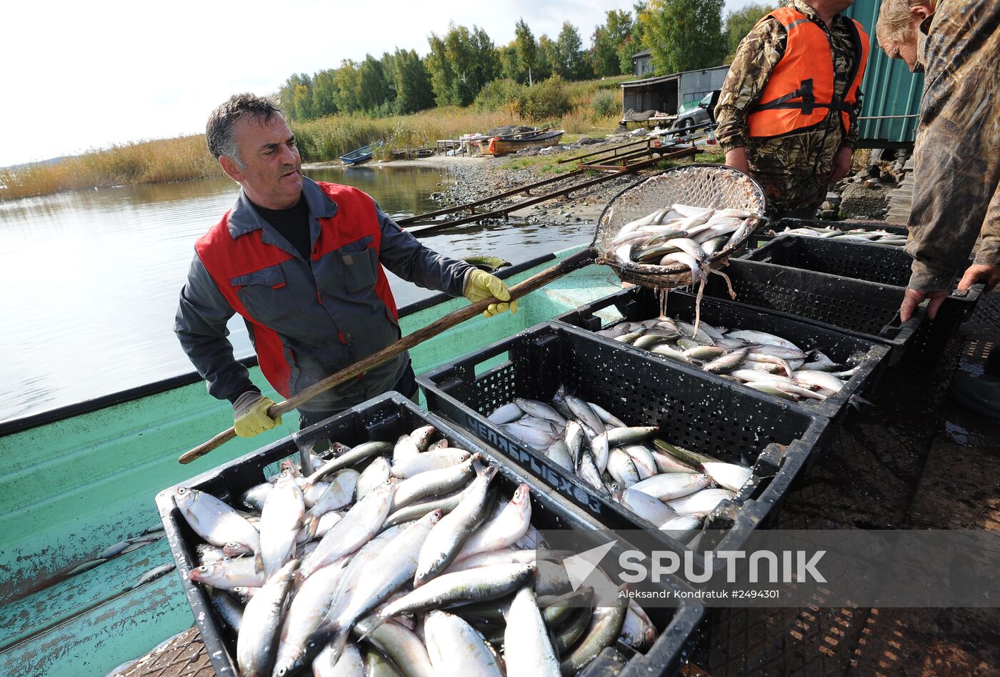 The Chelyabinsk fish-breeding farm