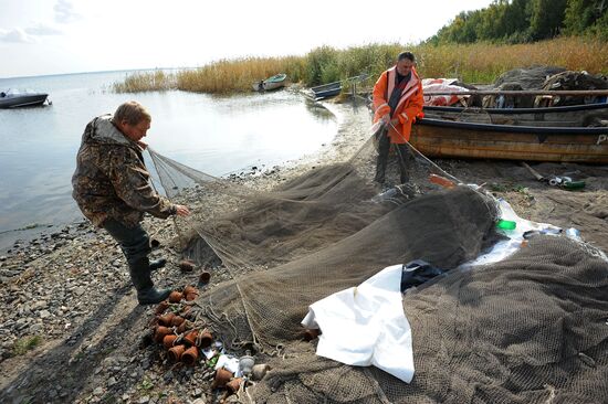 The Chelyabinsk fish-breeding farm