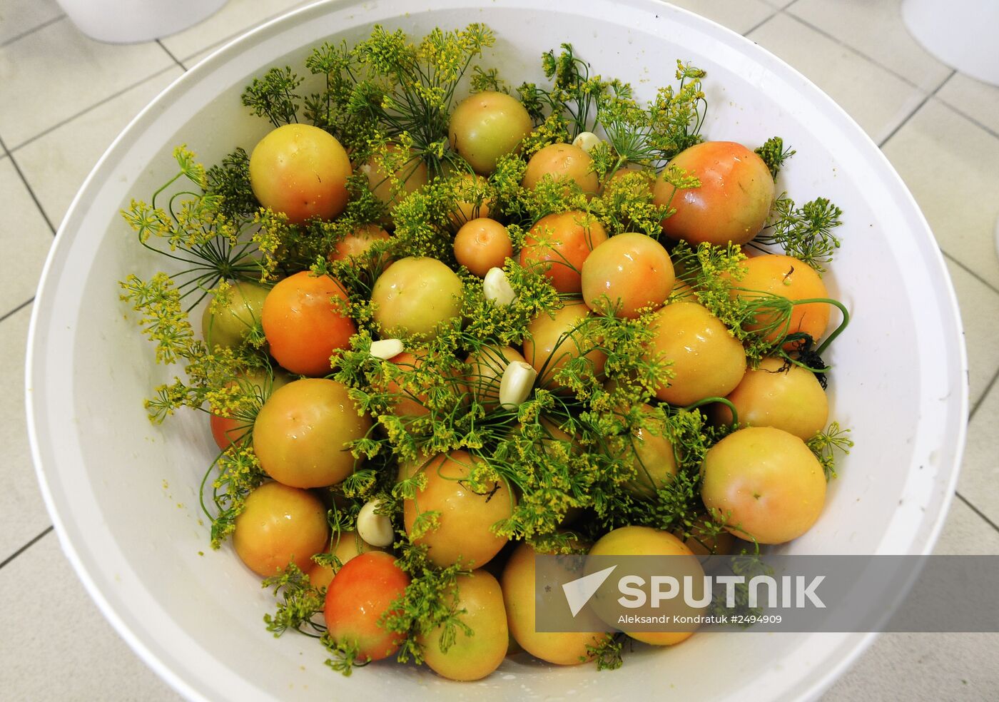 Processing vegetables in the women's prison of Chelyabinsk