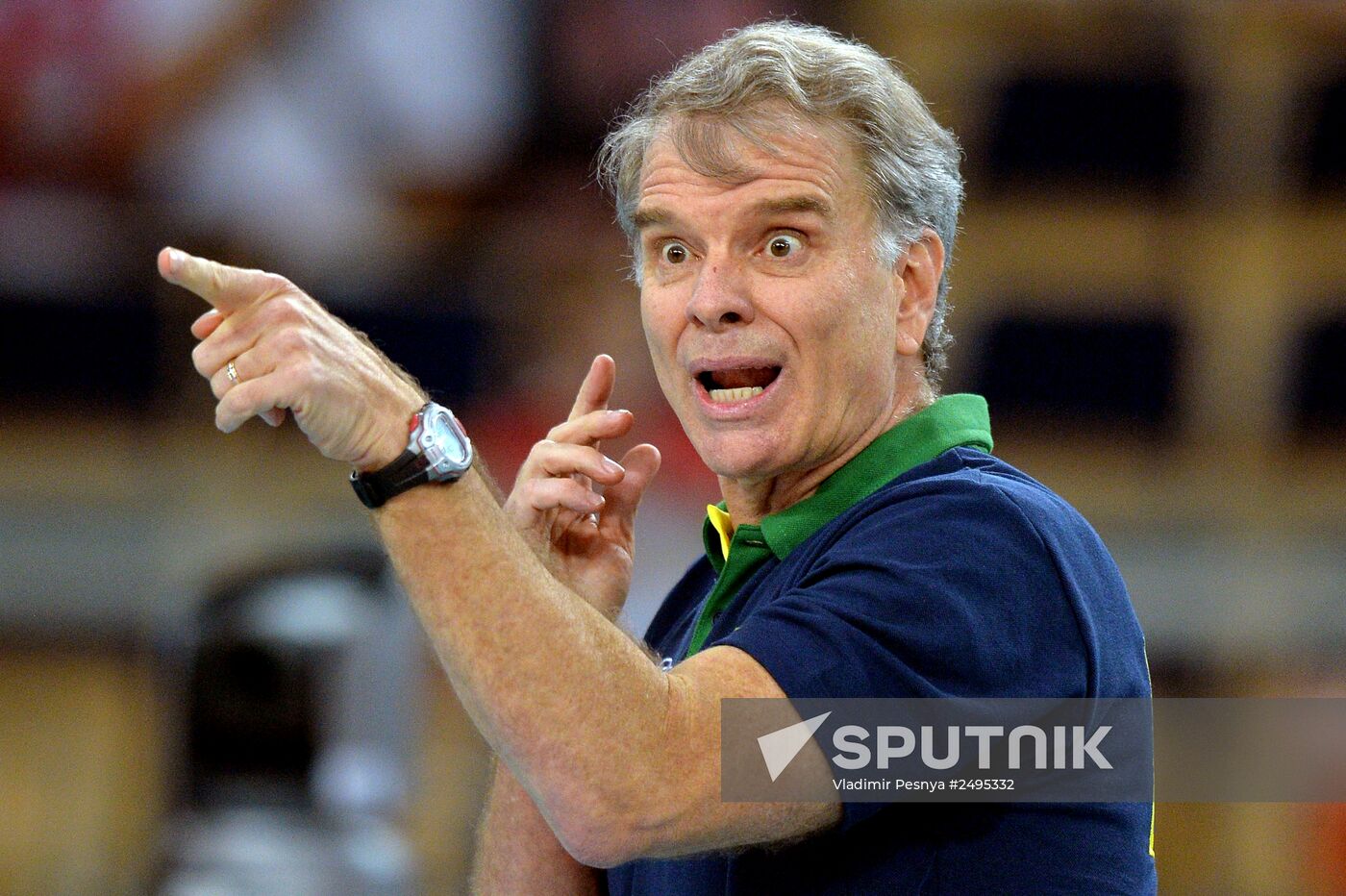 2014 FIVB Volleyball Men's World Championship. Brazil vs. Russia