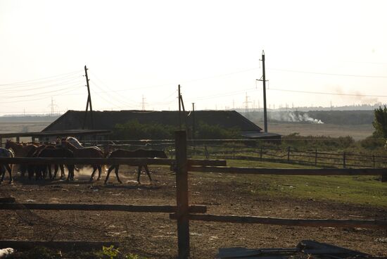 Donetsk region update