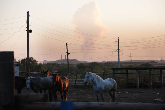 Donetsk region update