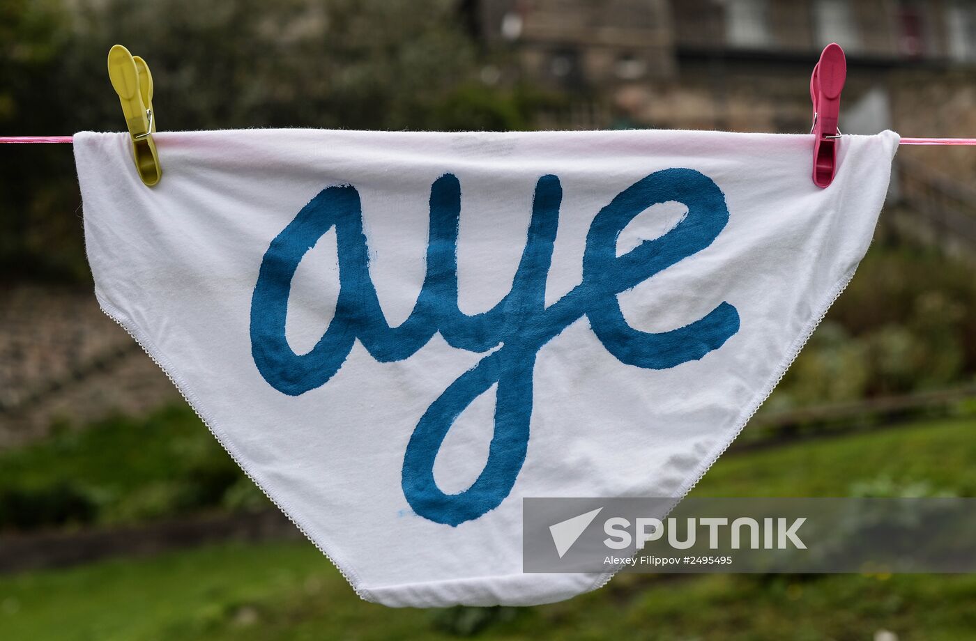 Scottish independence referendum