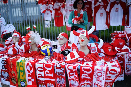 2014 FIVB Volleyball Men's World Championship. Poland vs. Russia