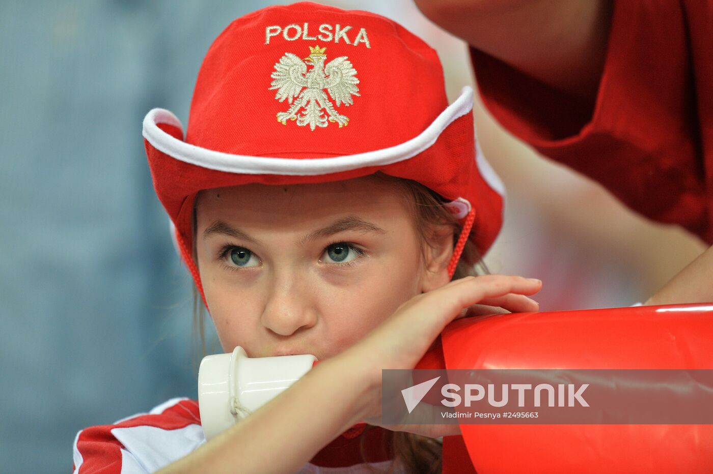 2014 FIVB Volleyball Men's World Championship. Poland vs. Russia