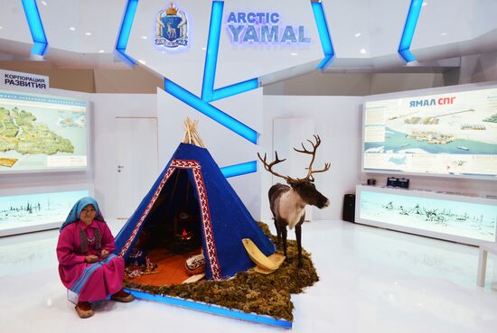 Preparations for International Investment Forum Sochi-2014