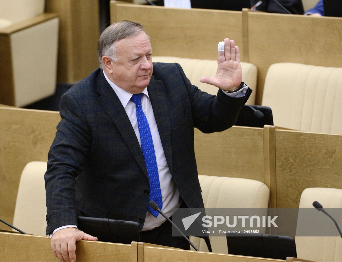 State Duma plenary meeting