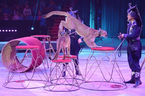New show premiered at Zapashny Brothers Circus