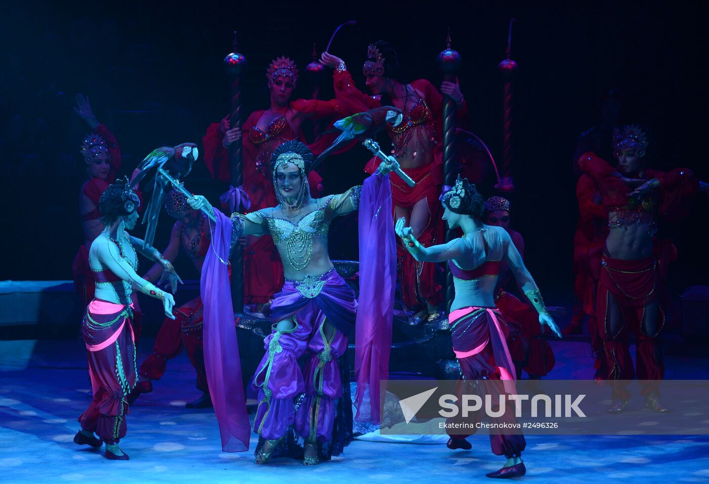 New show premiered at Zapashny Brothers Circus