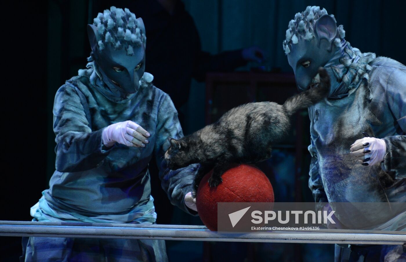 New show premiered at Zapashny Brothers Circus