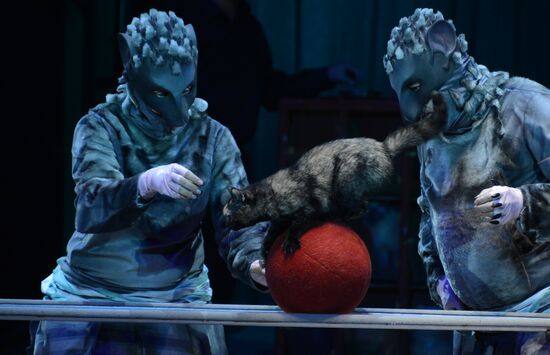New show premiered at Zapashny Brothers Circus