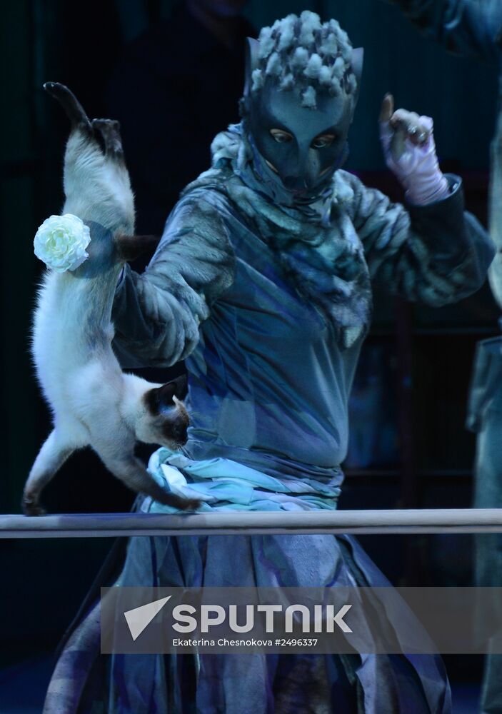 New show premiered at Zapashny Brothers Circus