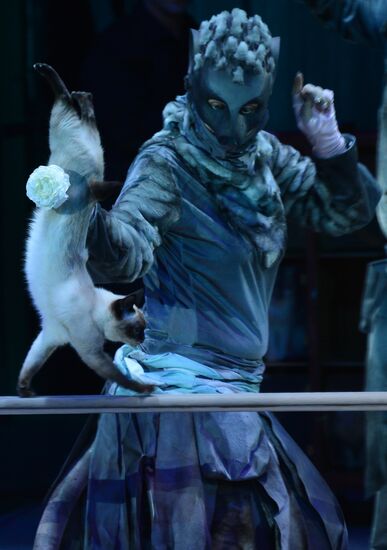 New show premiered at Zapashny Brothers Circus