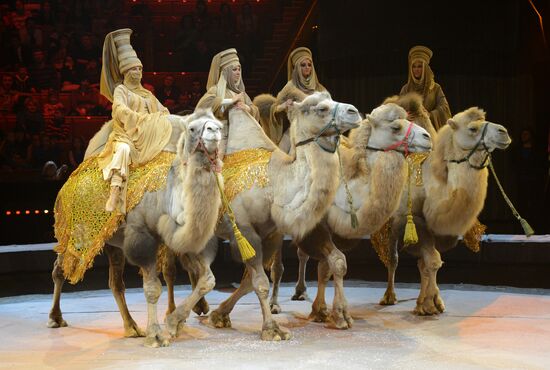 New show premiered at Zapashny Brothers Circus