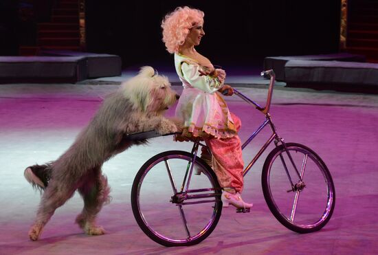 New show premiered at Zapashny Brothers Circus