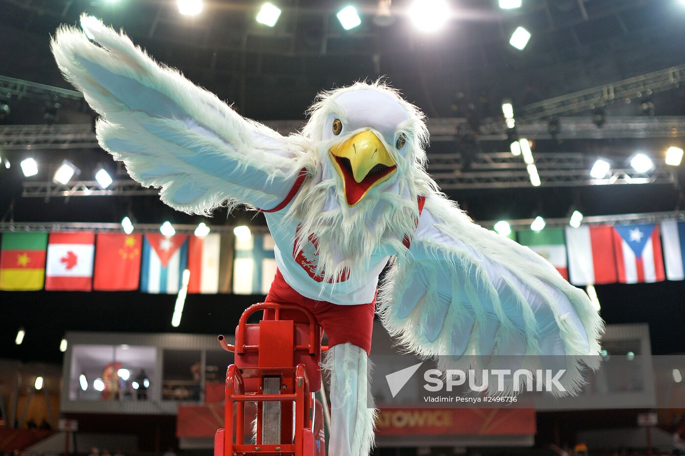 Volleyball. World Championship. Men. Germany vs. Poland