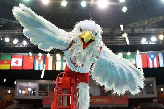 Volleyball. World Championship. Men. Germany vs. Poland