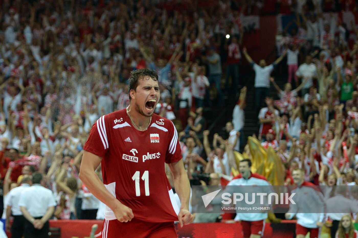 2014 FIVB Volleyball Men's World Championship. Germany vs. Poland