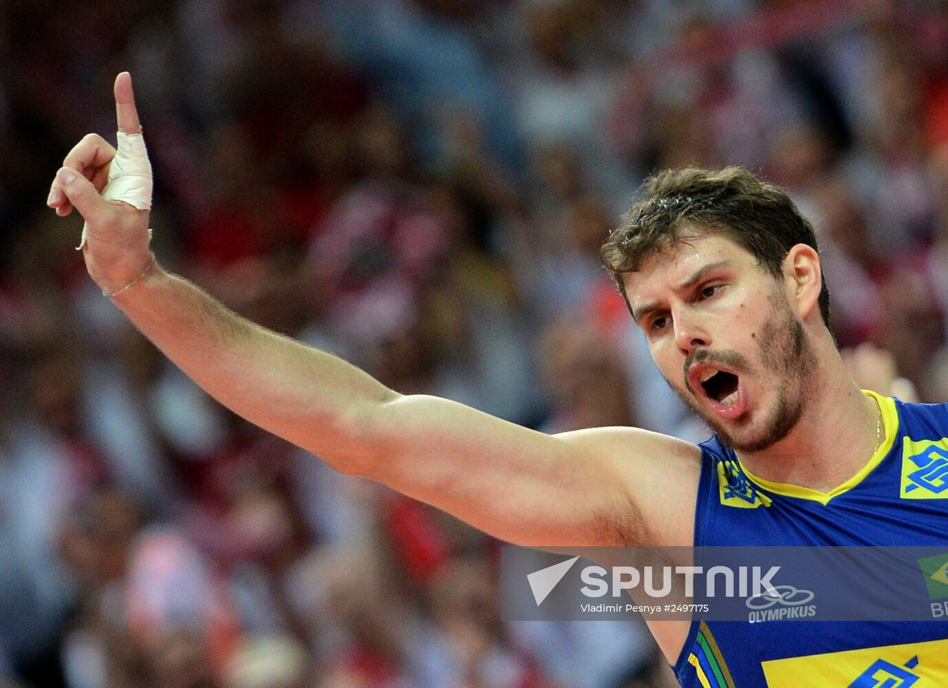 FIVB Volleyball Men's World Championship. Brazil vs. Poland. Final match