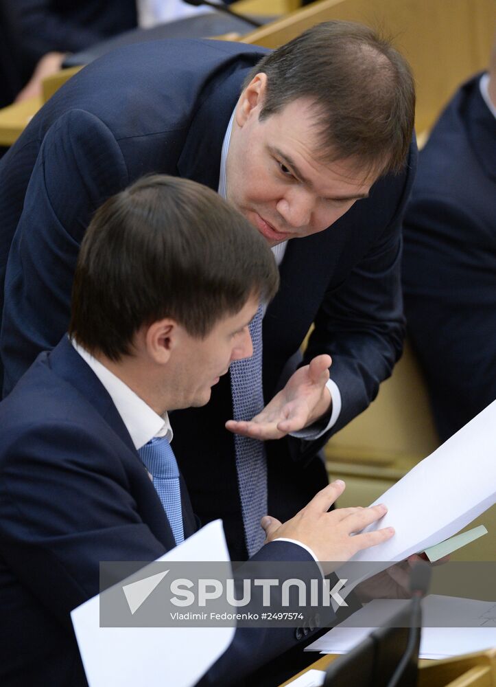 Plenary meeting of the State Duma of the Russian Federation