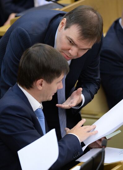 Plenary meeting of the State Duma of the Russian Federation
