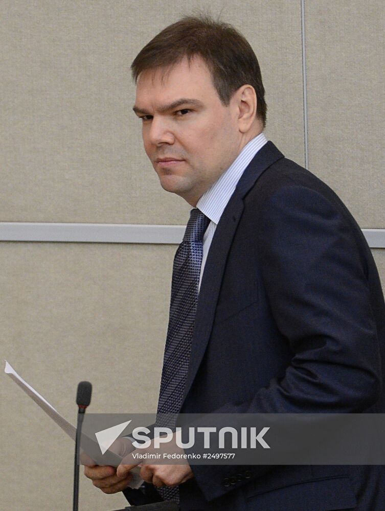 Plenary meeting of the State Duma of the Russian Federation