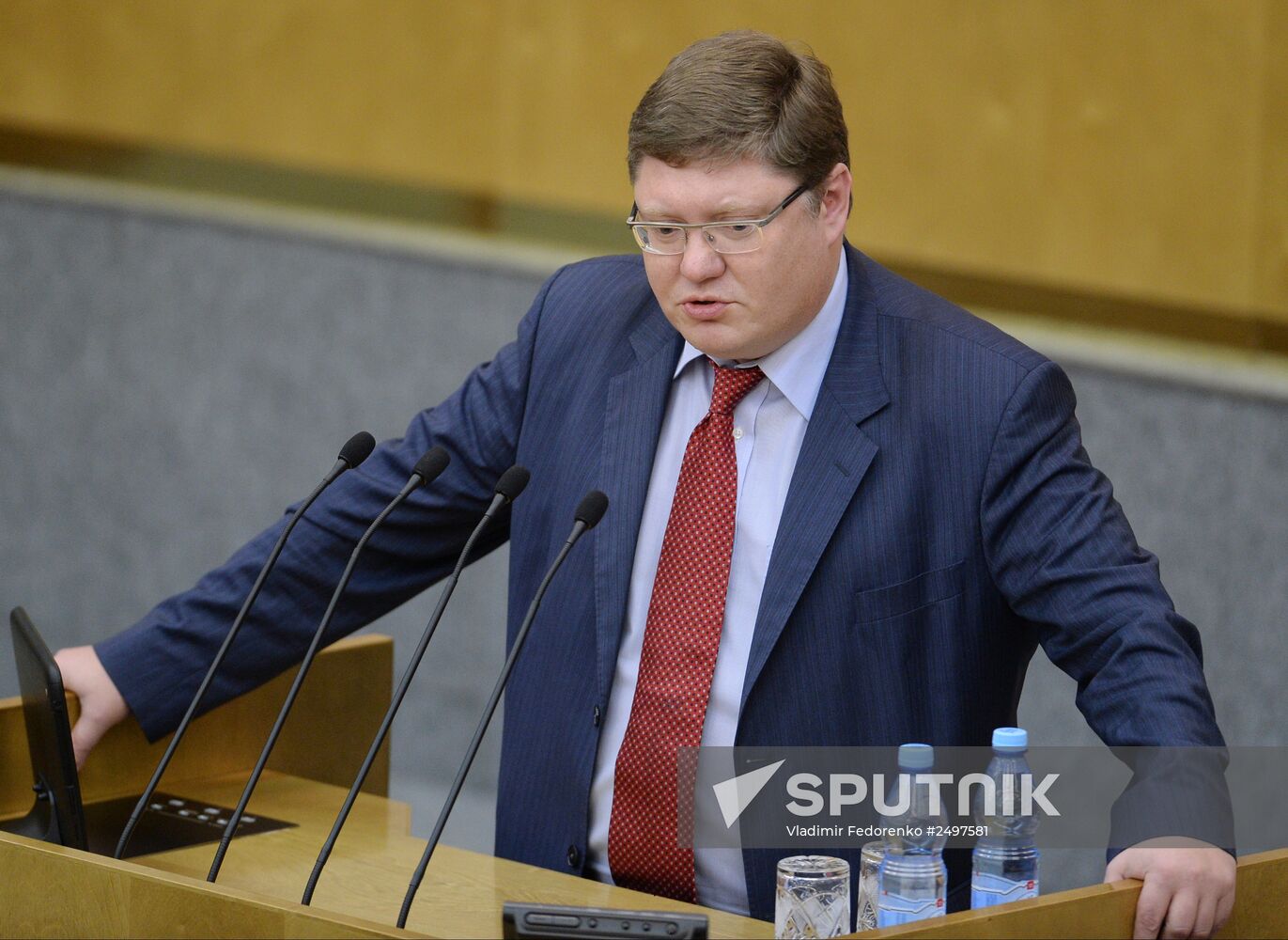 Plenary meeting of the State Duma of the Russian Federation
