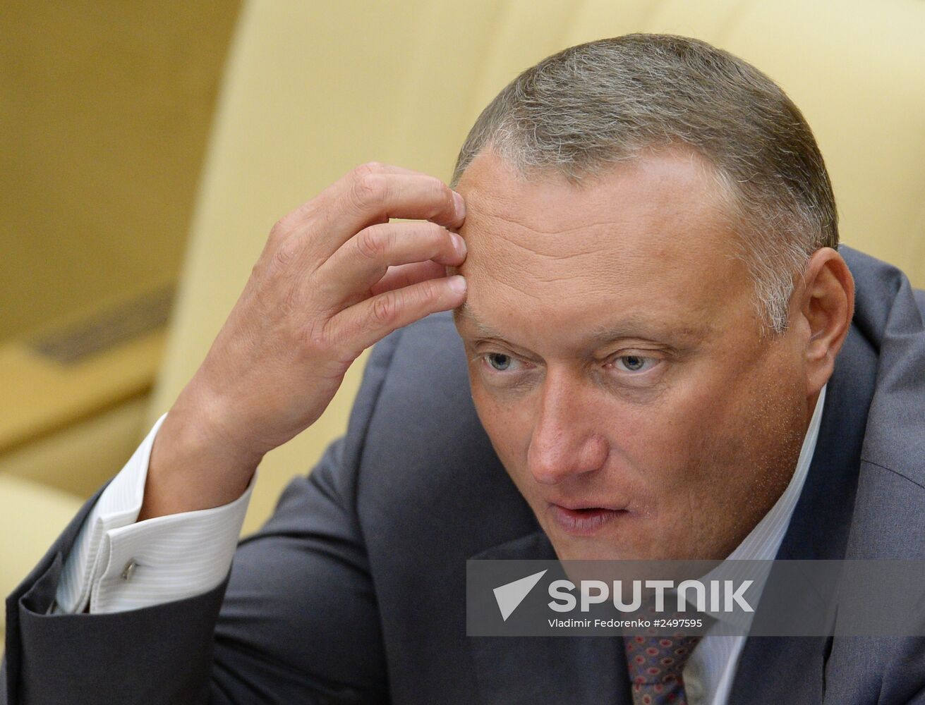 Plenary meeting of the State Duma of the Russian Federation