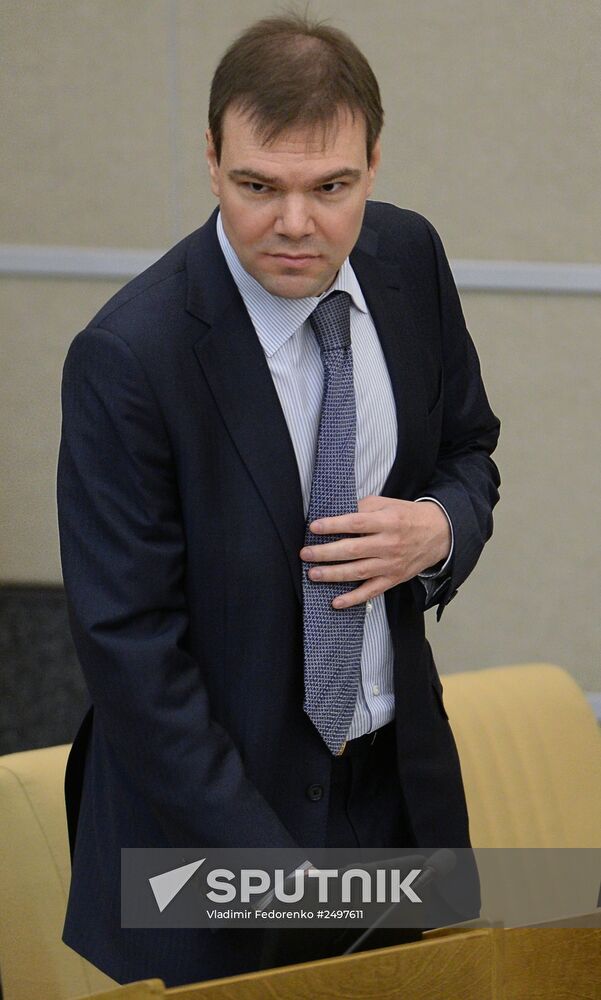Plenary meeting of the State Duma of the Russian Federation