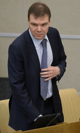 Plenary meeting of the State Duma of the Russian Federation