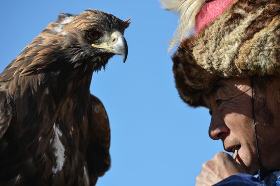 "Golden Eagle -- Chuya Steppe Wings" festival of golden eagle falconers