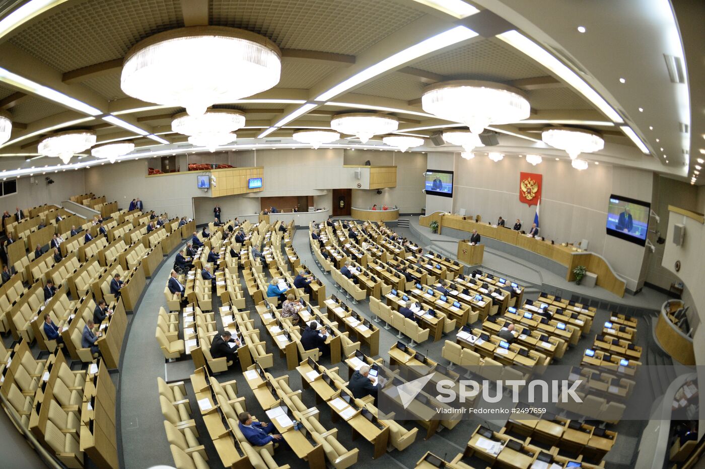 Plenary meeting of the State Duma of the Russian Federation