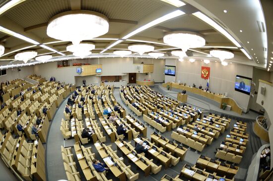 Plenary meeting of the State Duma of the Russian Federation