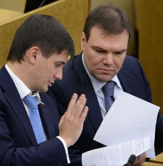 Plenary meeting of the State Duma of the Russian Federation
