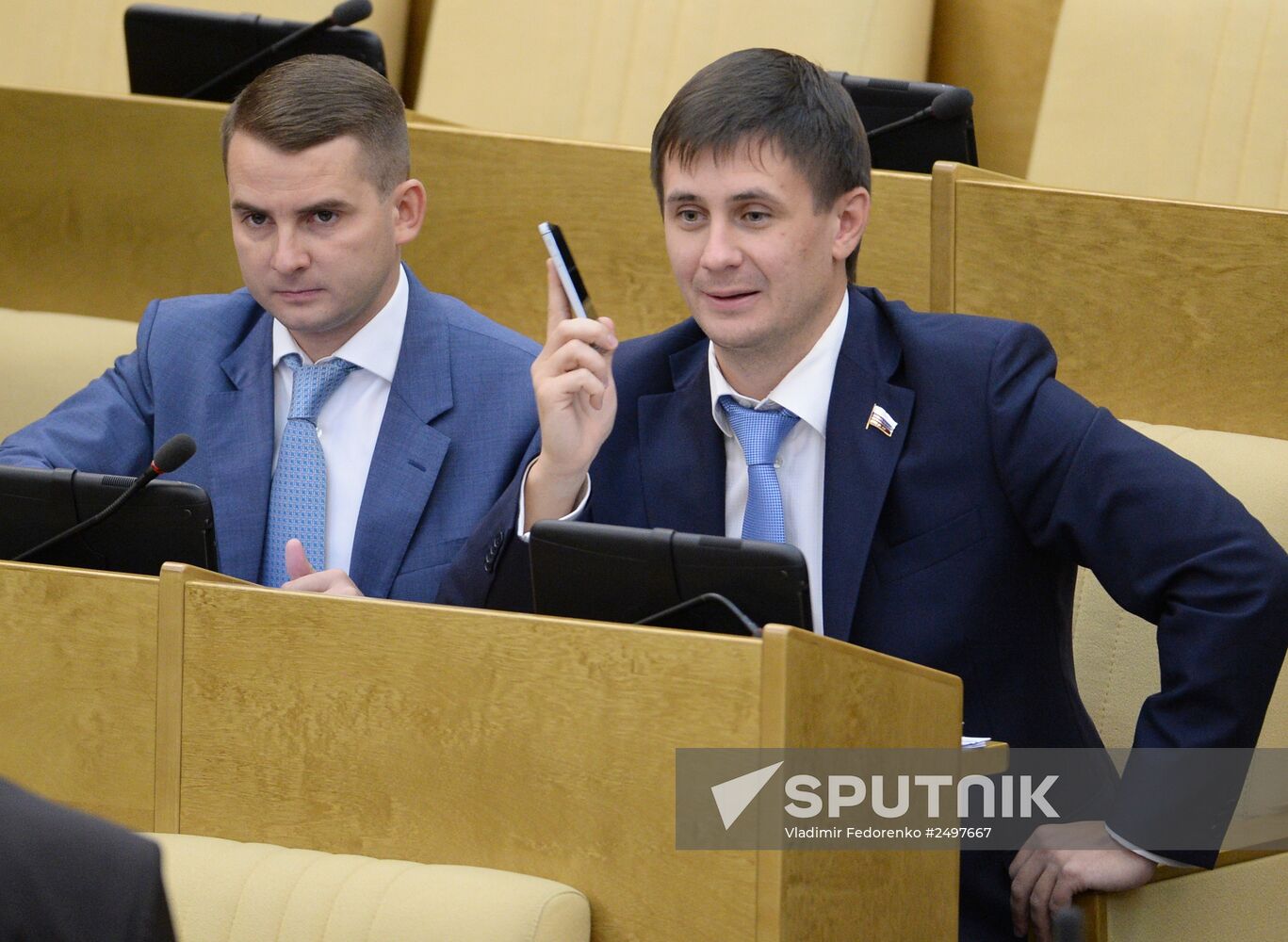 Plenary meeting of the State Duma of the Russian Federation